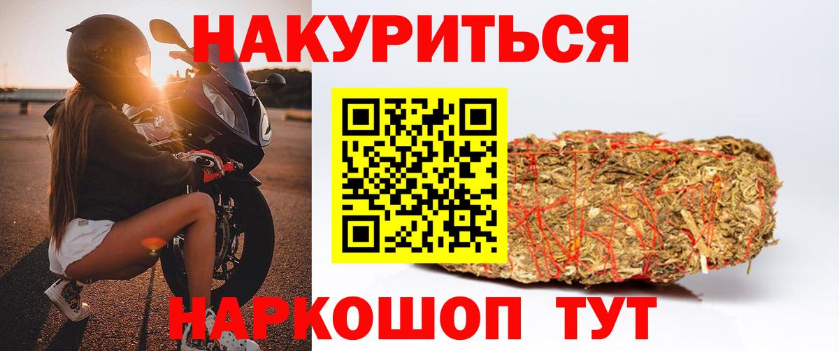 Каннабис SATIVA & INDICA Камышин
